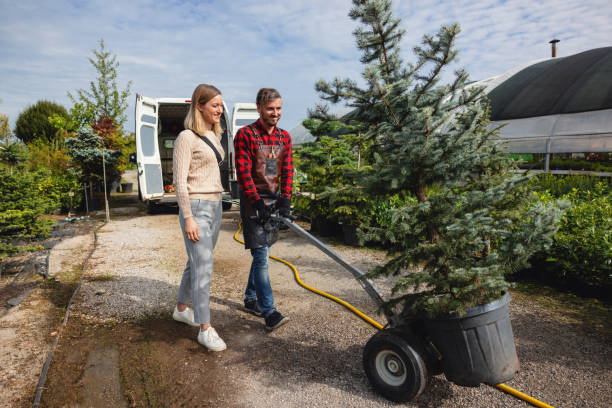 Best Tree Branch Trimming  in Abilene, TX